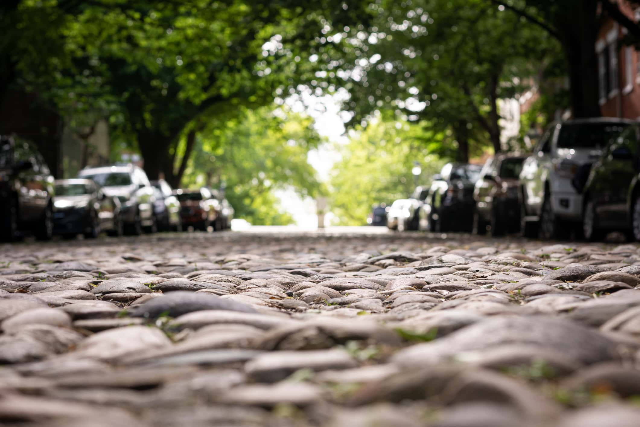 A cobblestone road in old town Alexandria.